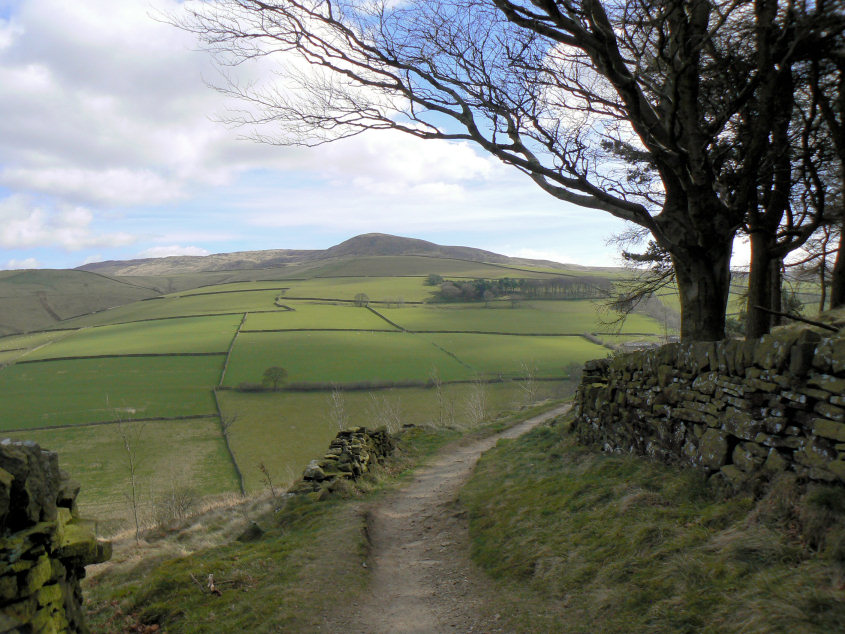 Kinder Low Kinder Low
